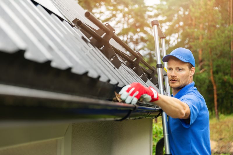 Climbing Ladders for Gutter Maintenance