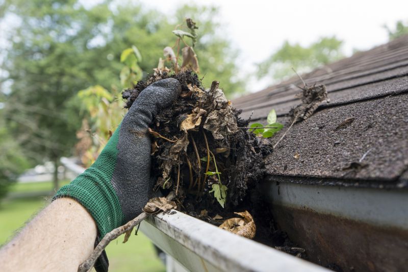Clearing Debris from Gutters