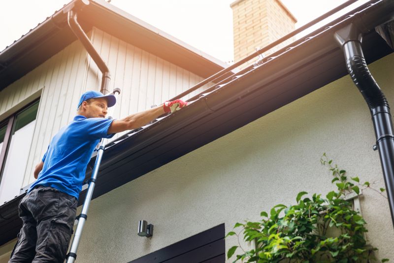 Gutter Cleaning in Spring